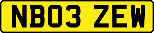 NB03ZEW