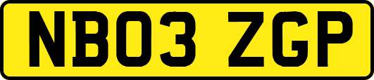 NB03ZGP