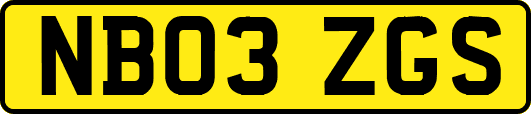 NB03ZGS