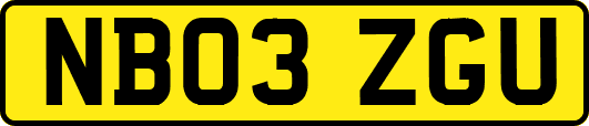 NB03ZGU