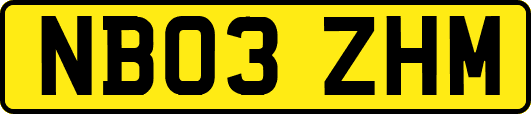 NB03ZHM