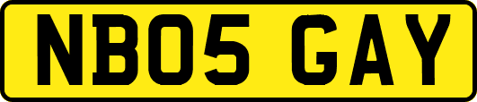NB05GAY