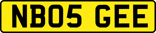 NB05GEE