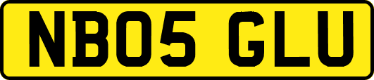 NB05GLU
