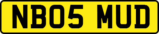 NB05MUD
