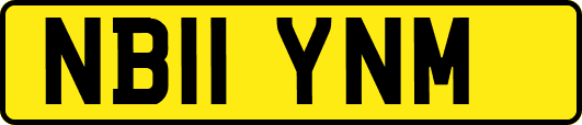 NB11YNM