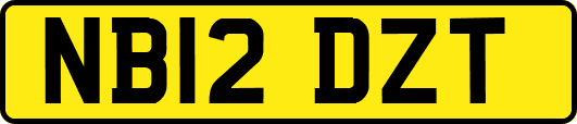 NB12DZT