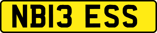 NB13ESS