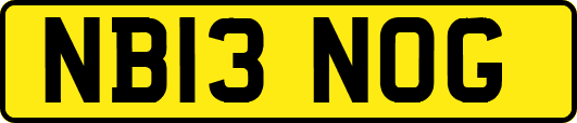 NB13NOG