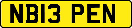 NB13PEN