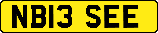 NB13SEE