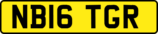 NB16TGR
