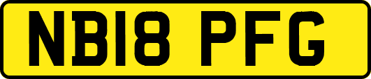 NB18PFG