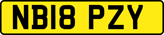NB18PZY