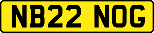 NB22NOG