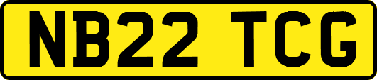 NB22TCG