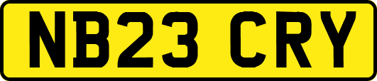NB23CRY
