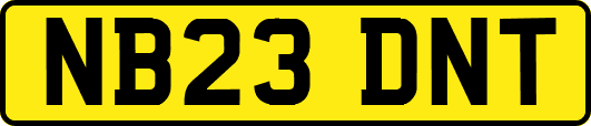 NB23DNT