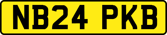 NB24PKB