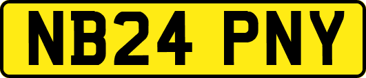 NB24PNY