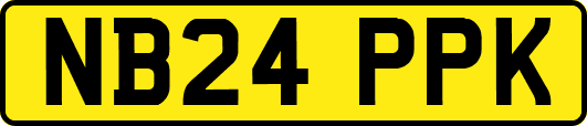 NB24PPK
