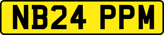 NB24PPM