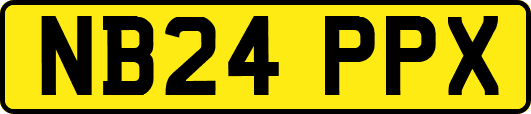 NB24PPX