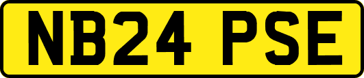 NB24PSE