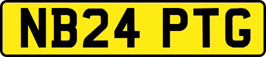 NB24PTG