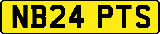 NB24PTS