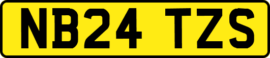 NB24TZS