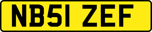NB51ZEF
