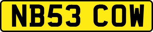NB53COW