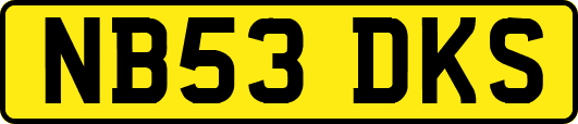 NB53DKS