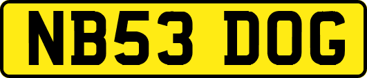 NB53DOG