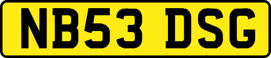 NB53DSG