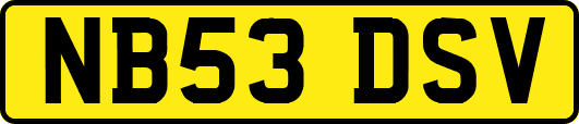 NB53DSV