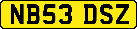 NB53DSZ