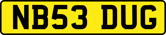 NB53DUG