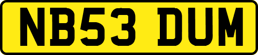 NB53DUM