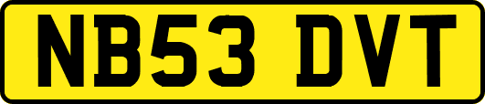 NB53DVT