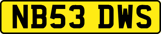 NB53DWS
