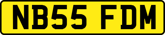 NB55FDM