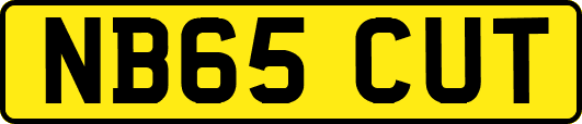 NB65CUT