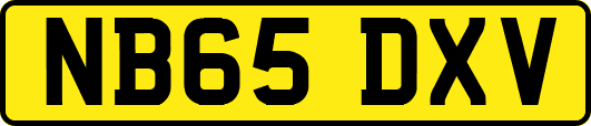 NB65DXV