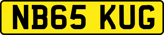 NB65KUG