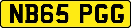 NB65PGG