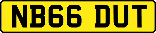 NB66DUT