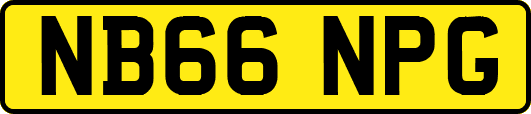 NB66NPG