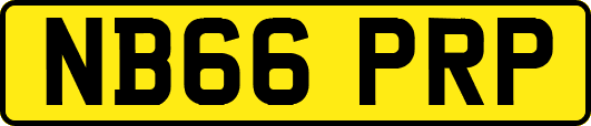 NB66PRP